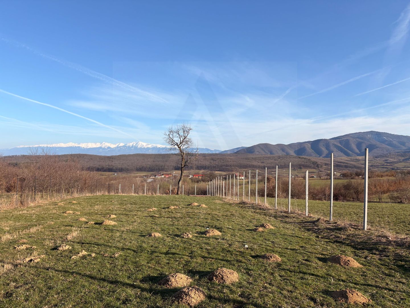 Teren intravilan 809 mp de vânzare – Tropinii Noi-Sibiu - Poză 4