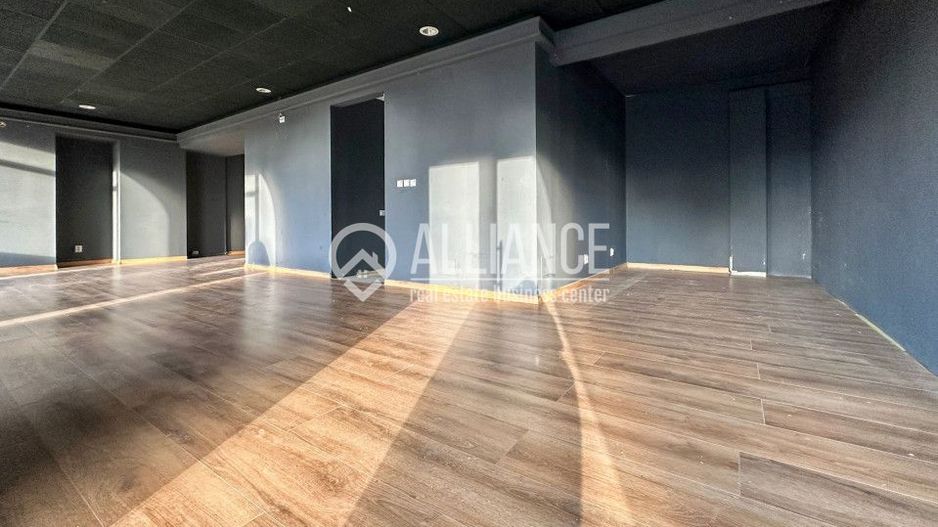 DELFINARIU (COD10) - Spatiu comercial de inchiriat - Poză 5