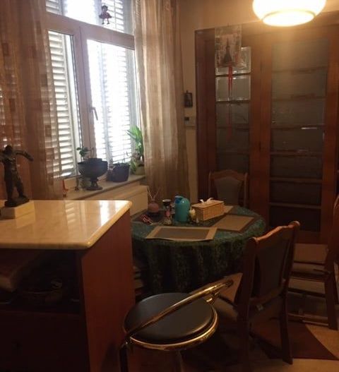 Vila  de vanzare-zona Parcul Carol - Poză 3