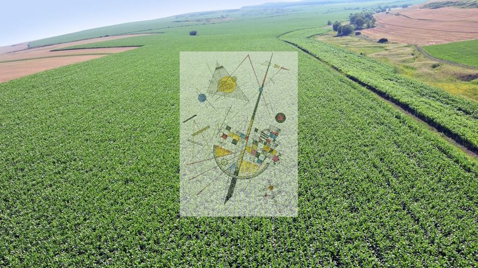 Anunt de test - Teren 5500 mp Cluj-Napoca in Zona Soporului - Poză 2