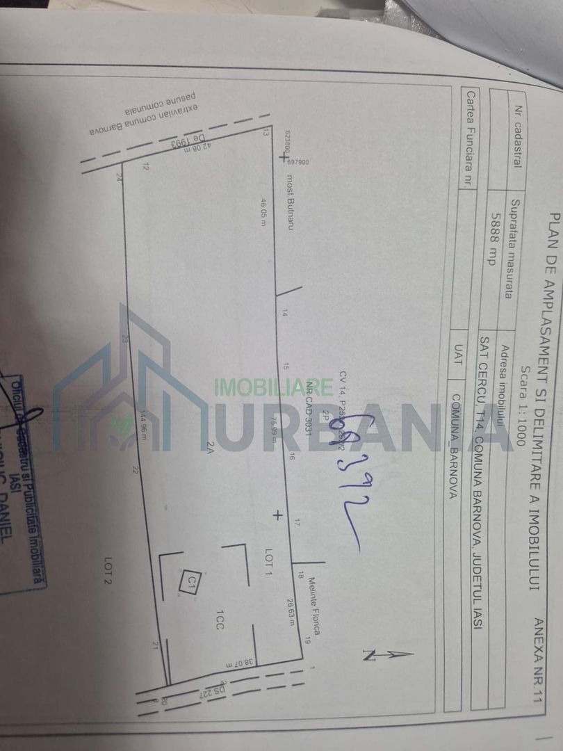 Teren 6.500 mp în Cercu/Bârnova – utilități trase (gaz, apă, curent) - Poză 3