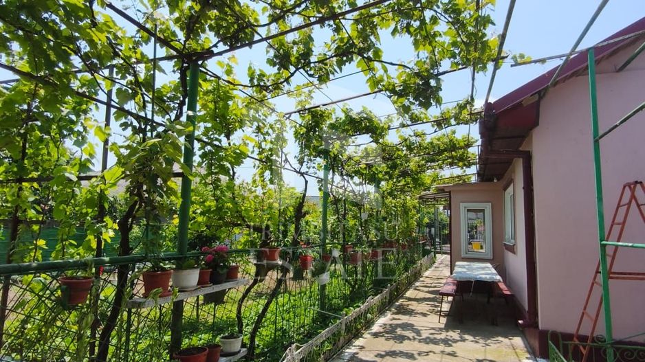 CASA  POIANA | PANOURI SOLARE | TEREN 800 MP - Poză 29
