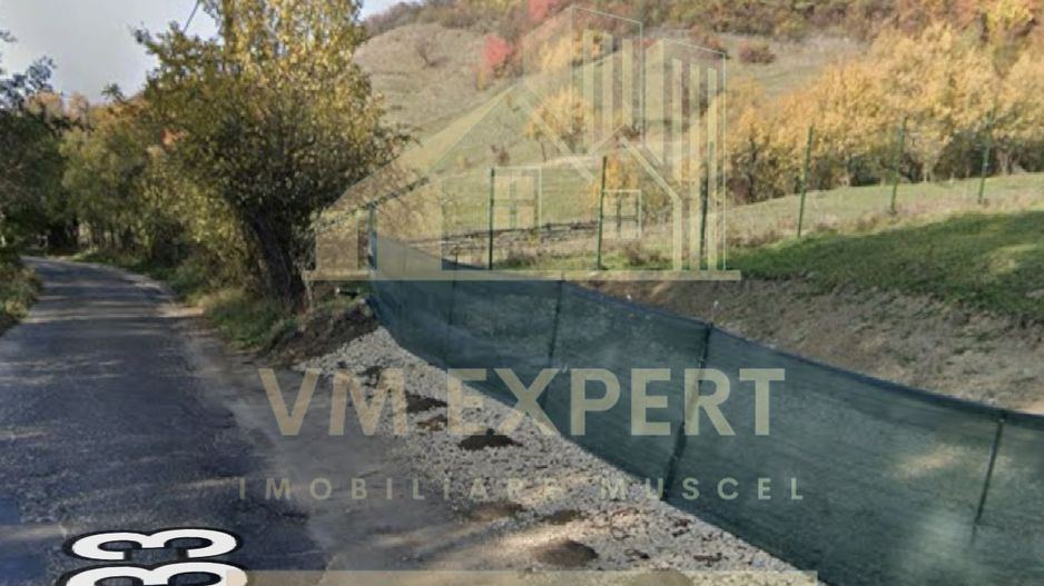 TEREN INTRAVILAN 832 MP VALEA ROMANEȘTILOR CAMPULUNG ARGEȘ - Poză 3