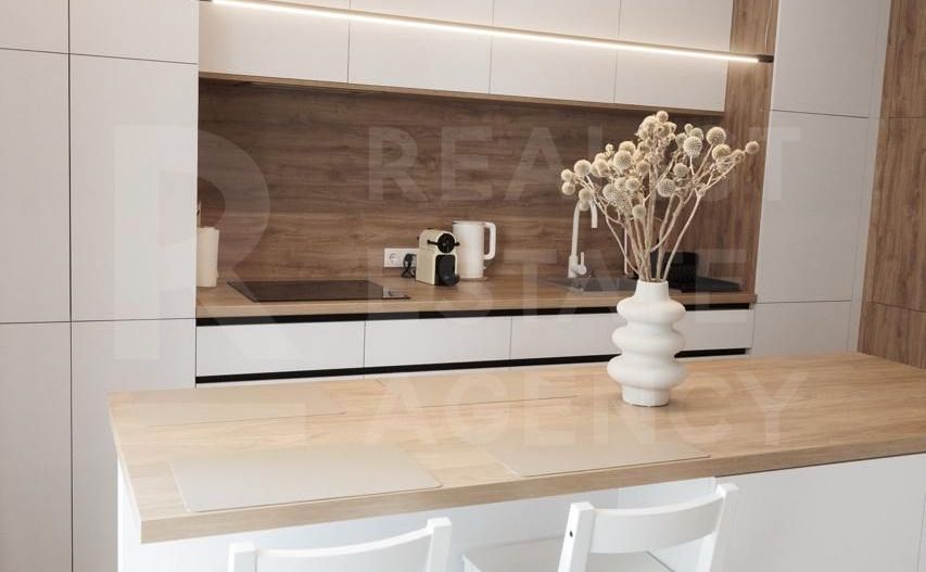 Chirie, apartament, 1 cameră, str. Pantelimon Halippa, Centru - Poză 5