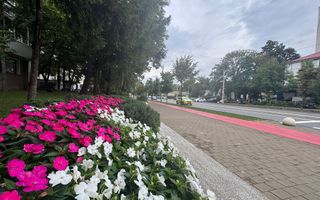 Apartament 2 camere decomandat Copou - 10 min Universitatea Al.I Cuza - Poză 21