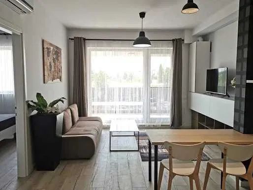 Apartament 2 camere de inchiriat Costin Georgian +loc de parcare - Poză 2