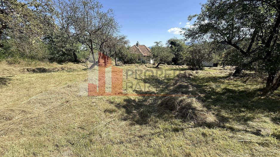 Teren 4558 mp cu casă tradițională, Sohodol, Bran - Poză 9