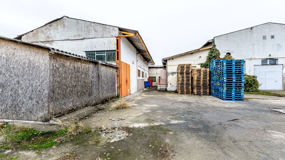 Hală în zonă centrală, zona Intim - Poză 8