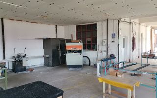 Vanzare hala atelier, stradal, Stalpeni - Poză 13