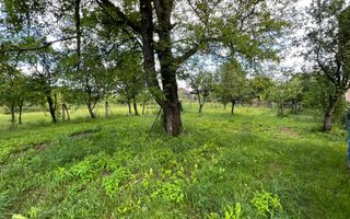 Casa de vanzare 230 mp utili + teren 1000 mp, Luna de Sus, Cluj! - Poză 20