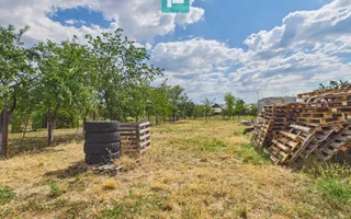 Clădire 446 mp | Teren 1.579 mp Nojorid - Poză 15