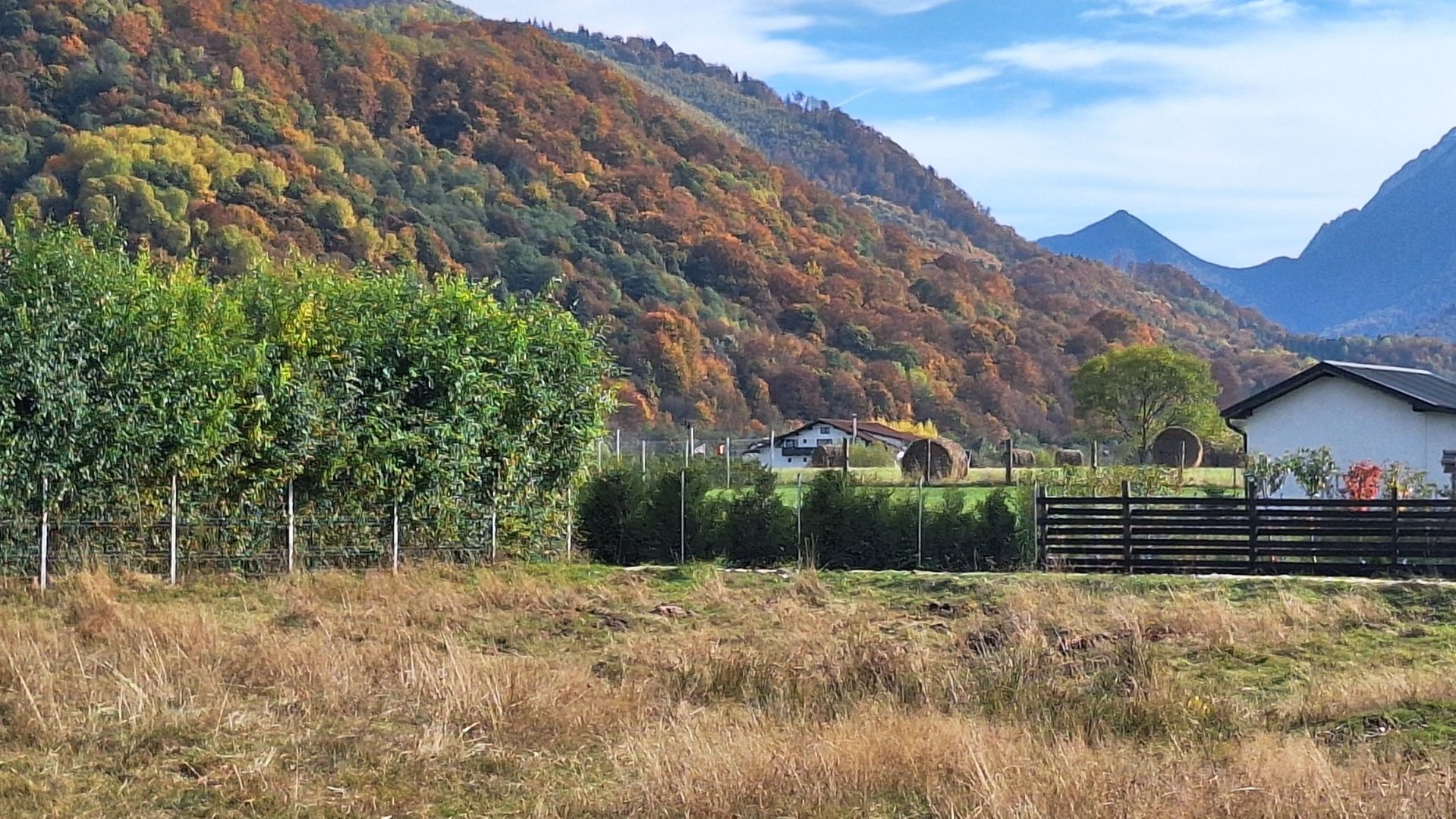 Teren 1000mp cu PUZ in Rasnov, Glajerie - Poză 2