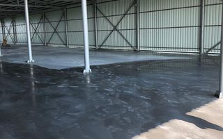 Hala 1.533 mp cu teren 5.000 mp – Vanatori, zona Maylo - Poză 7