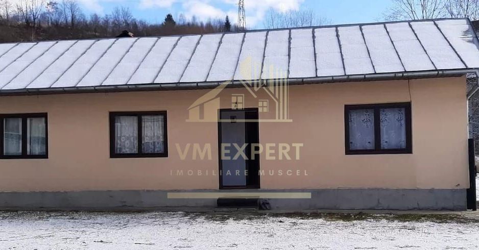 CASA 3 CAMERE, TEREN 5000 MP, RUCAR, ARGES - Poză 3