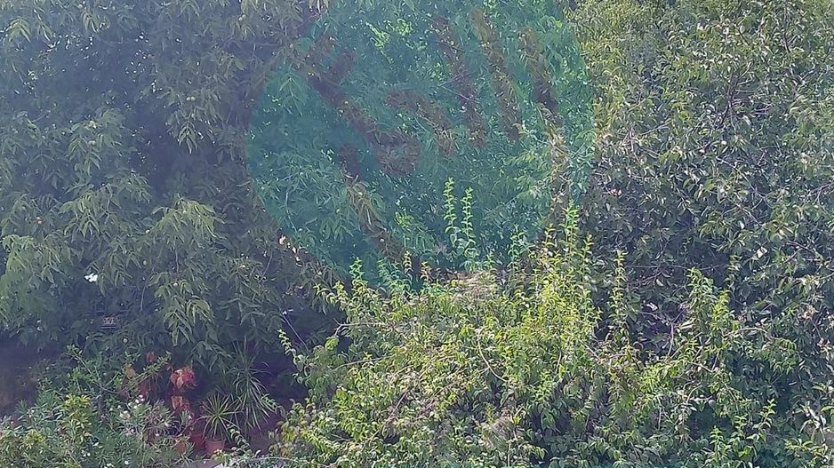 Teren constructii intavilan de 600 mp, Popesti-Leordeni - Poză 3