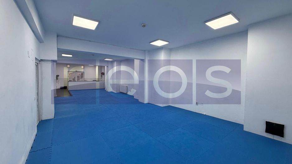 INCHIRIERE SPATIU DEMISOL | BARBU VACARESCU  | 196MP | - Poză 5