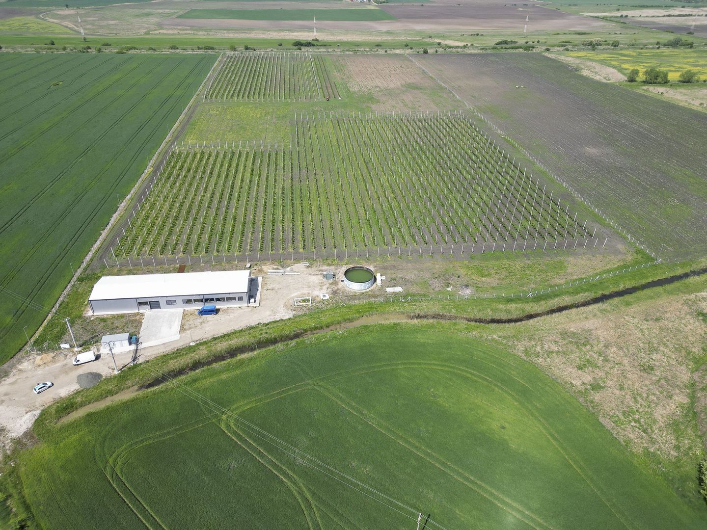 Oportunitate investiție: Livadă de Cireși și Hală - Poză 7