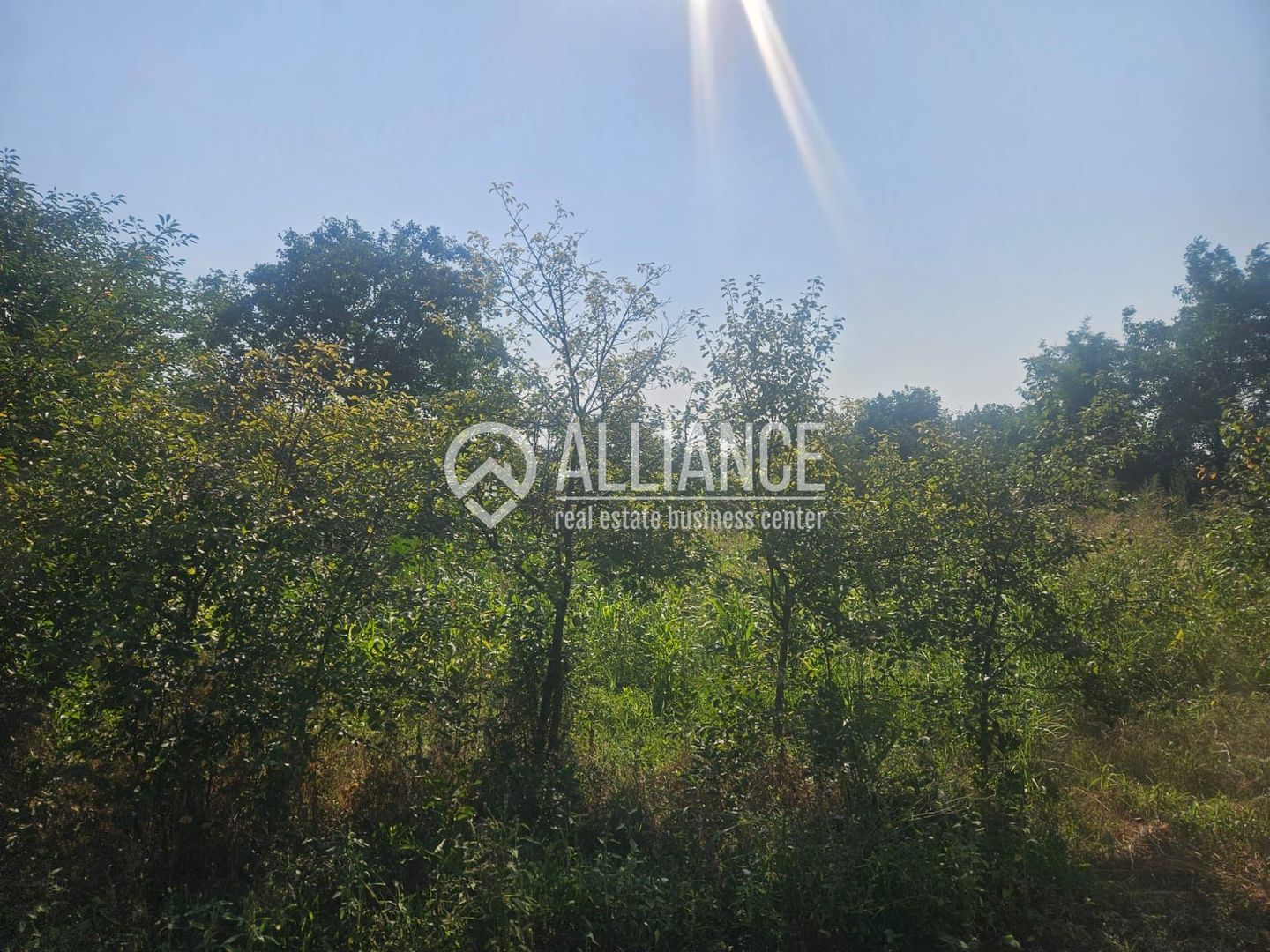 ISTRIA (COD04)-Teren intravilan 1528 mp-Constanta - Poză 5