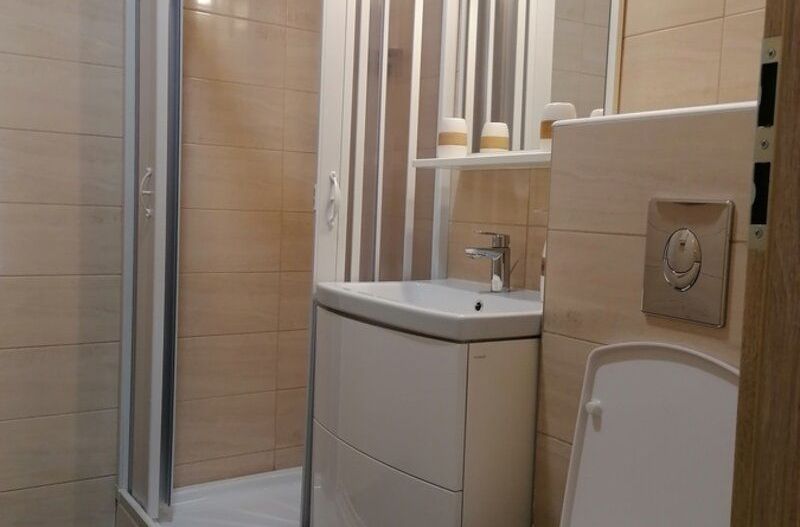 Apartament 2 camere Nicolae Grigorescu - Poză 10