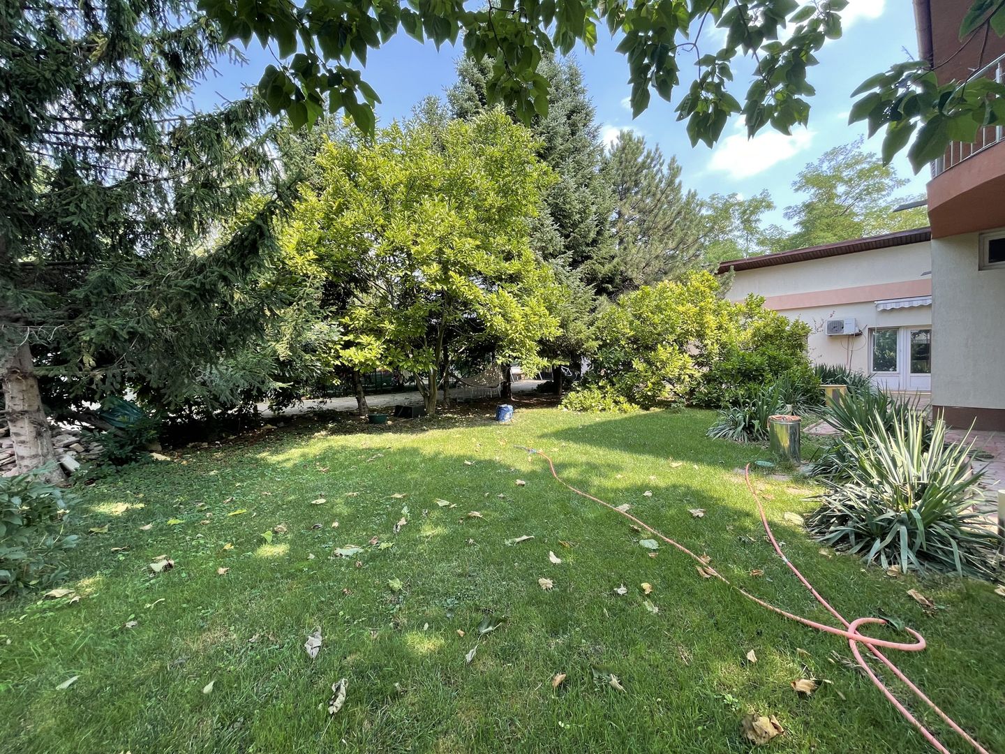 VOLUNTARI - Catedrala | Casa 7 Camere + Constructie Secundara - Poză 4