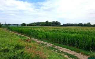 Teren de vanzare Serbanesti/Holt - Poză 1