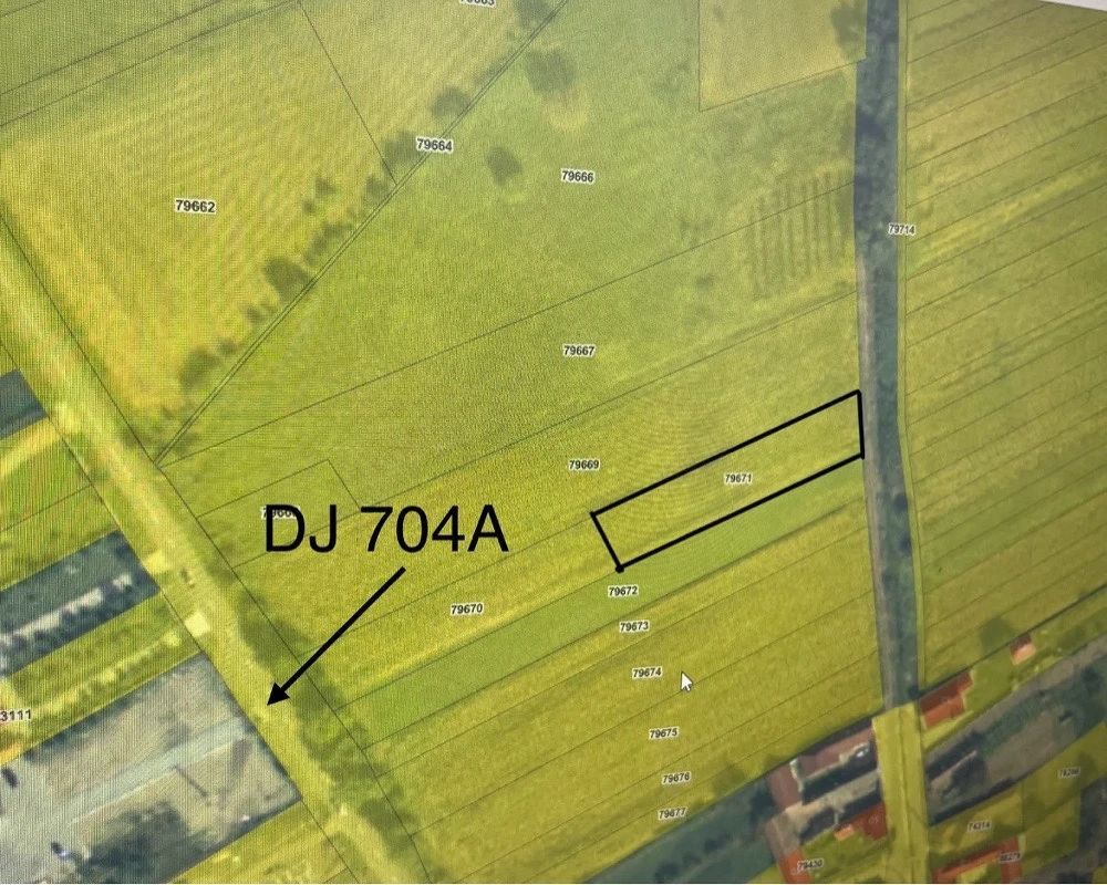 🏡 TEREN INTRAVILAN DE VÂNZARE – PIANU DE JOS, ALBA | 1.450 MP - Poză 1