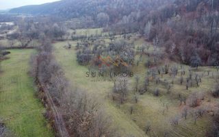 Teren 36000 m2, intravilan+partial extravilan, cadastru, Draganeasa PH - Poză 2