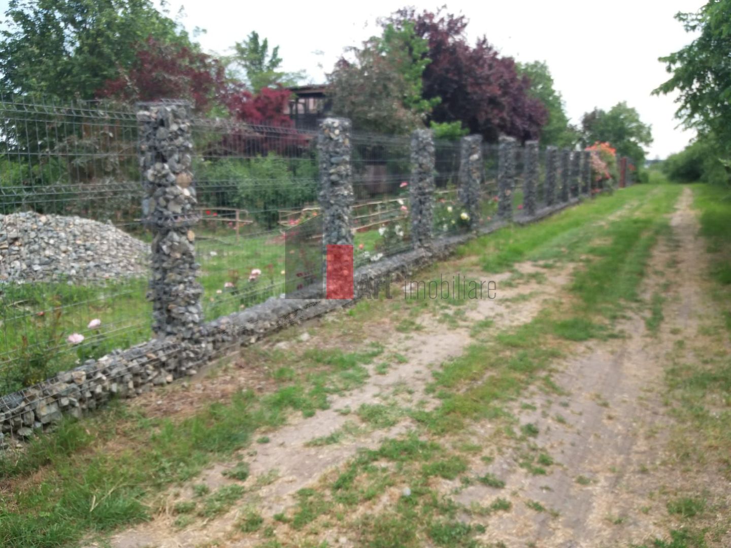 Teren cu iesire la lac - Poză 8