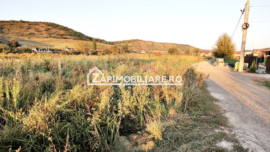 De vanzare 2 terenuri de 29.500 mp si 1.400 mp.29 euro mp - Poză 12