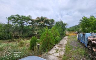 Casa cu D+P+E, 3500 mp teren, zona centrala, Paulis - Poză 3