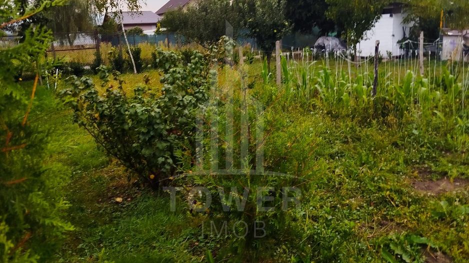 ✨ Oportunitate! Teren 1500 mp cu cabană și utilități – Șelimbăr/Cisnădie - Poză 6