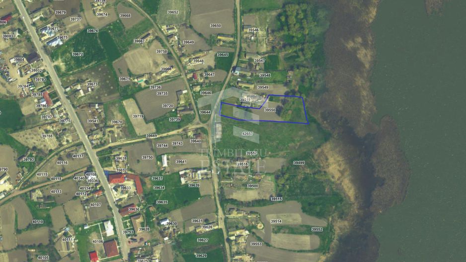 Teren intravilan 4367 mp – Salcioara – deschidere la lac - Poză 1