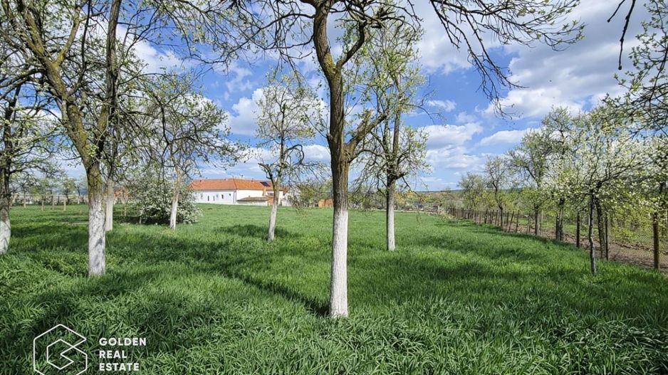Casa cu doua corpuri de cladire, localitatea Chesint - Poză 9