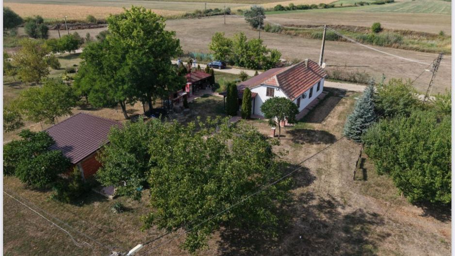 Spatiu multifunctional Salonta - Poză 3