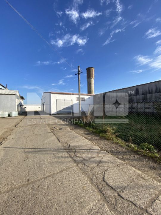 Hala 390m2 | Recent Renovata - Poză 1