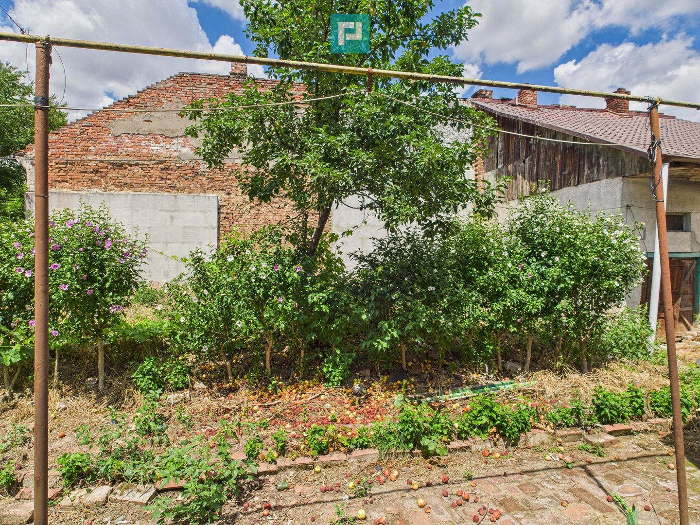 Teren 1.484 mp în zona Iosefin - Poză 6