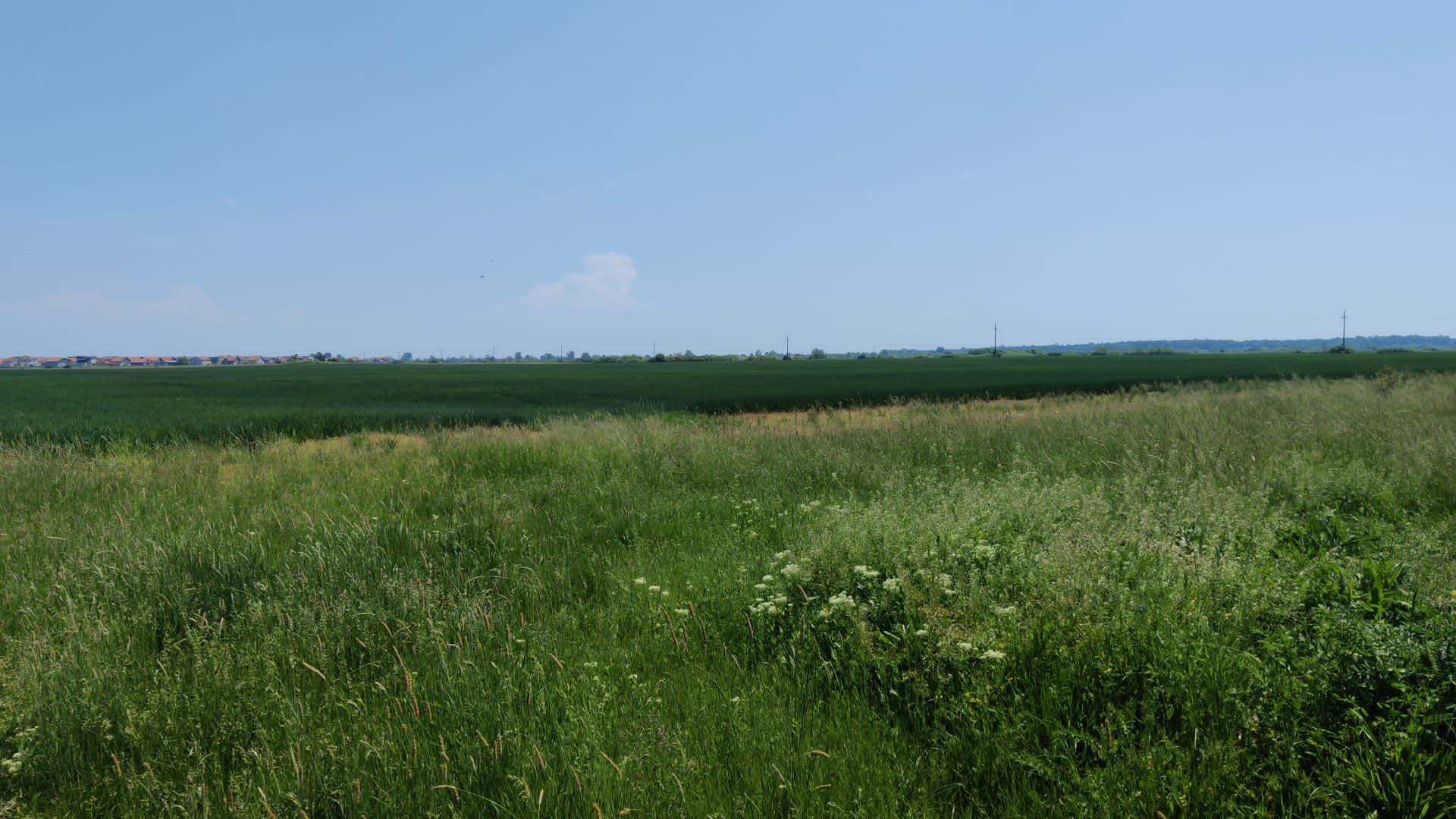 Teren extravilan agricol în Urseni - Poză 1