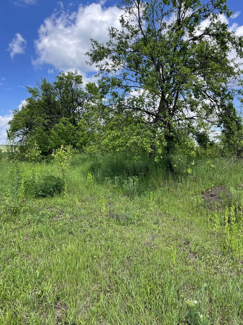 Casa in Comuna Geaca - Poză 23