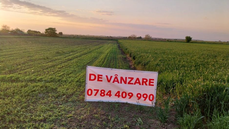 DÂRZA - TEREN INTRAVILAN - Poză 1