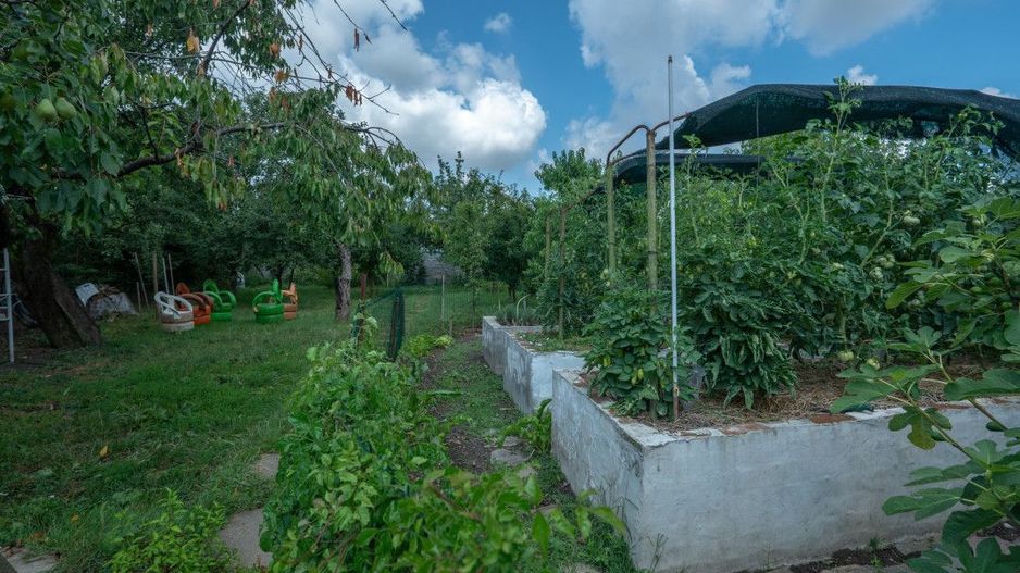 De Vânzare Casă Vânătorilor 9 ari teren - Poză 15