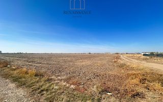Giroc Teren 10.000mp cu PUZ in lucru | Destinatie - 7 Blocuri P+2+R - Poză 1