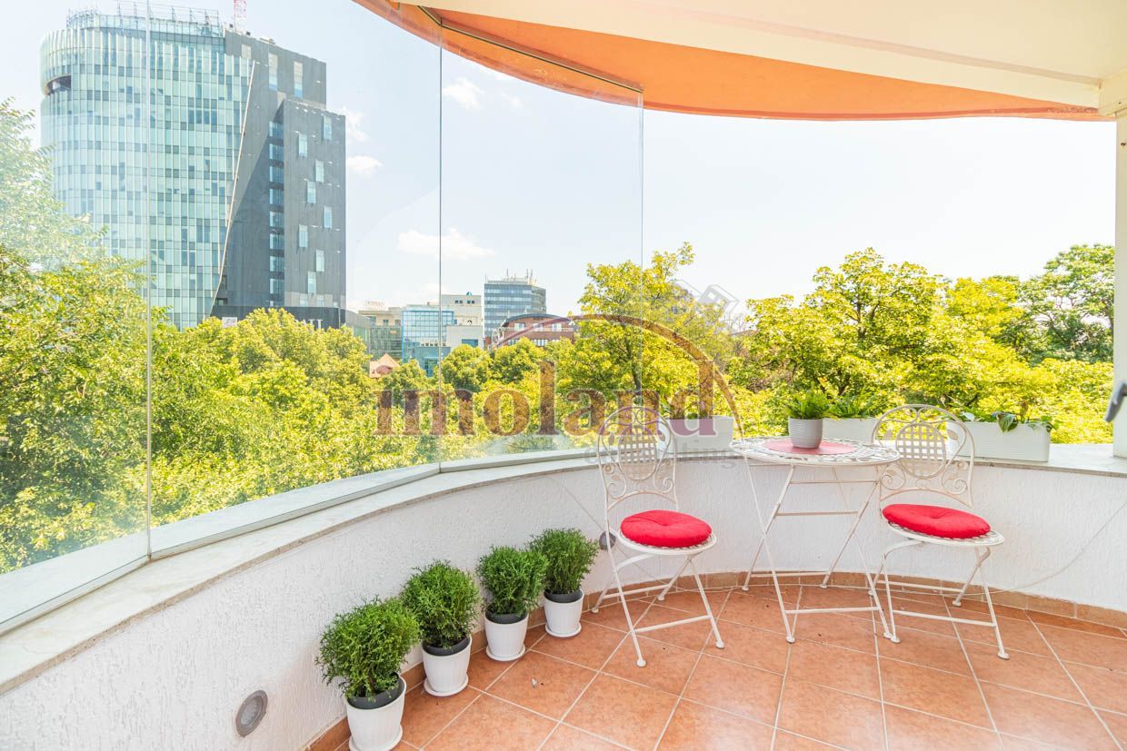 Inchiriere office/rezidenta - 5 camere - Bd Aviatorilor - Poză 10