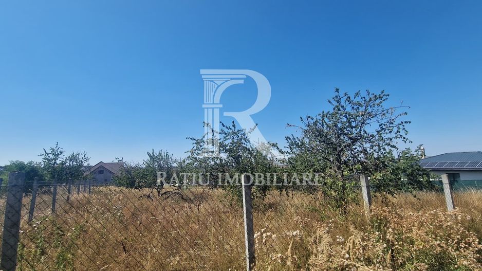 Teren Intravilan | Imprejmuit | 1000 mp | Paleu | Bihor - Poză 3
