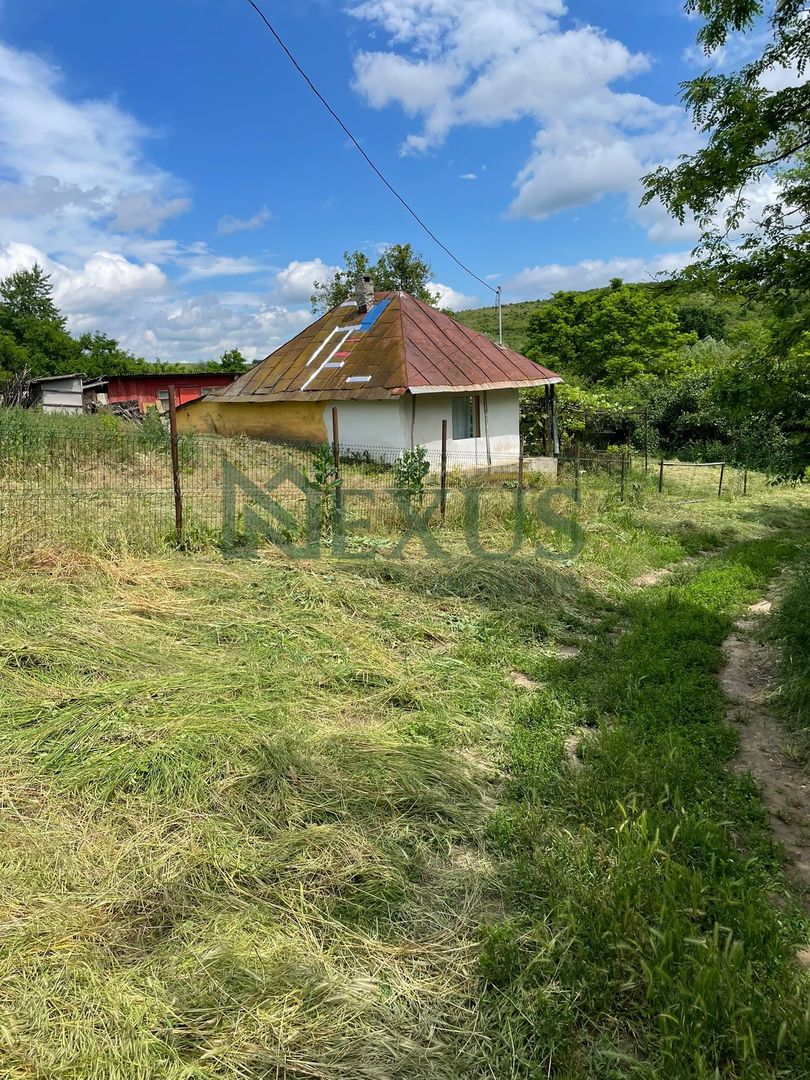 Casă bătrânească cu teren de 3.200 mp în Hertioana de Jos, jud.Bacău - Poză 11