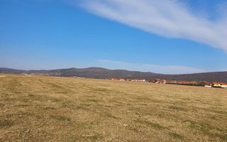 Teren extravilan-5.000 mp-Sura Mică. - Poză 3