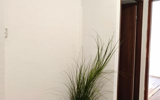 Aproape de Mall si de centru, departe de zgomot.  COMISION ZERO! - Poză 40