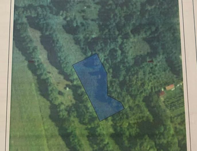 teren 1773 mp | Prahova | Banesti | Urleta | Campina - Poză 5