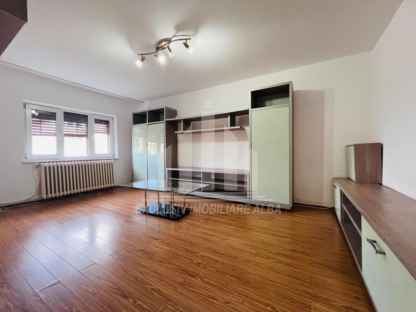 Apartament cu 3 camere,2 bai, etaj 1, Cetate-Mercur - Poză 1