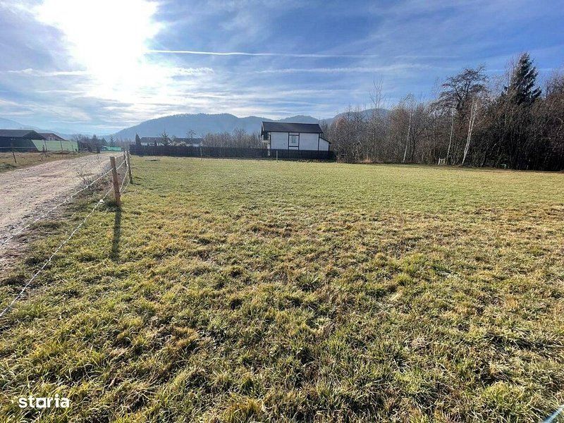 Teren 3349 mp de Vânzare | Bran – Panoramă Munții Bucegi - Poză 2