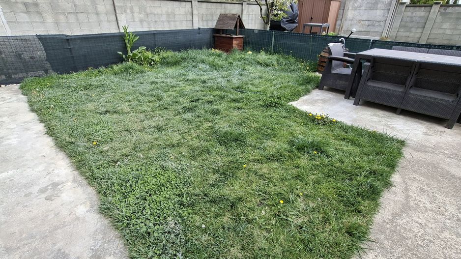 Apartament cu curte de 60mp - Dumbravita/Selgros - Poză 24